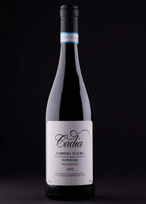 Piemont, Barbera d`Alba, Superiore, Rotwein