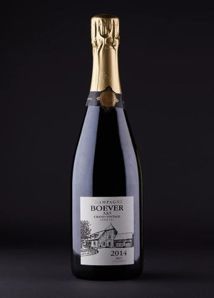 Frankreich, Champagner, Champagne, Winzerchampagner, Schaumwein, Vintage