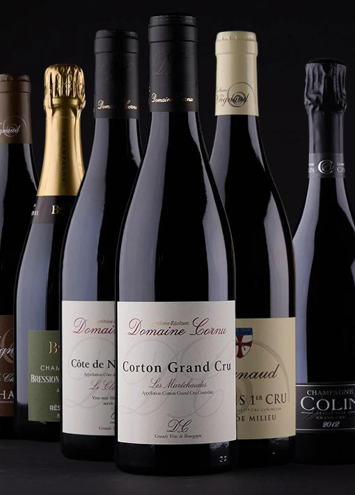 Frankreich Geschenkbox, Rotwein, Schaumwein, Weisswein, Burgund, Champagner